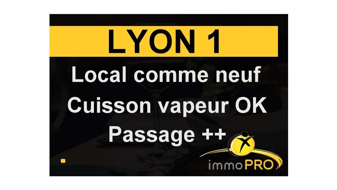 A vendre petit établissement de charme à Lyon