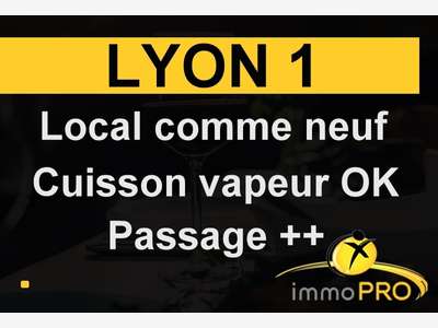 A vendre petit établissement de charme à Lyon