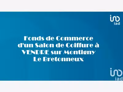 Vente magnifique salon à Montigny-le-Bretonneux
