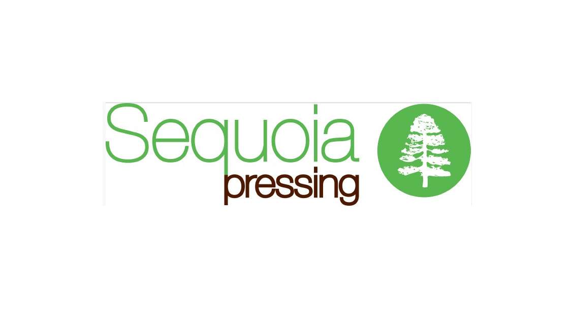 Ouvrez un pressing en centre commercial à Grenoble