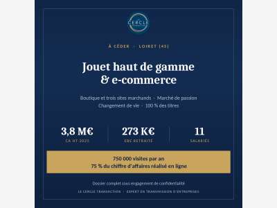 COMMERCE INTERNET & BOUTIQUE / MODELE REDUIT