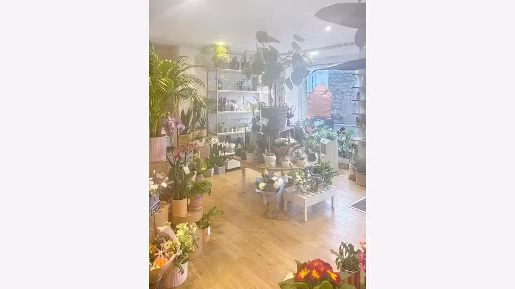 Vente superbe fleuriste en centre ville de Rosoff