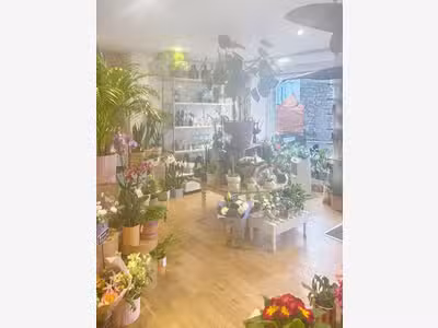 Vente superbe fleuriste en centre ville de Rosoff