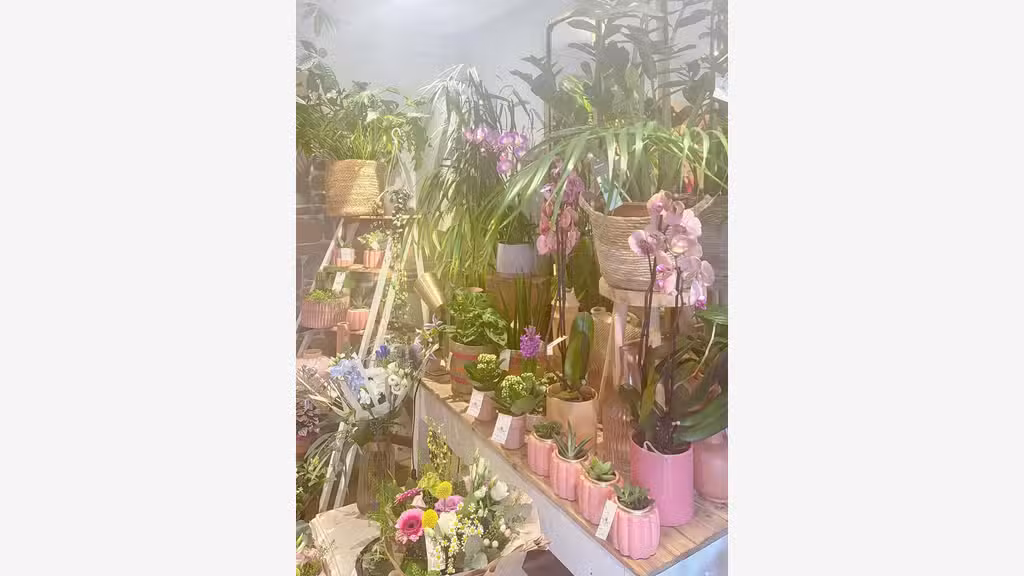 Vente superbe fleuriste en centre ville de Rosoff