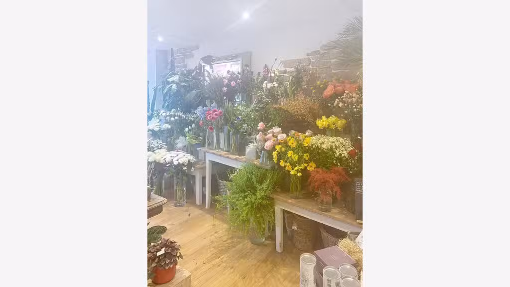 Vente superbe fleuriste en centre ville de Rosoff