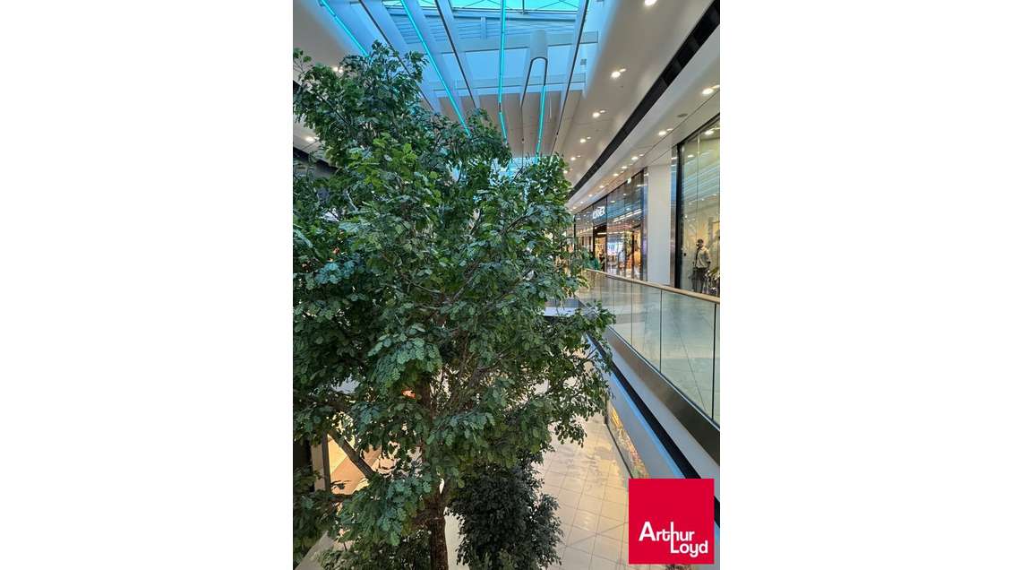 Fonds de restaurant à vendre Saint Pierre d'Irube