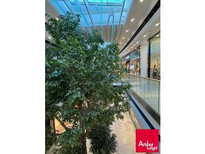 Vente Restaurant à Saint-Pierre-d'Irube