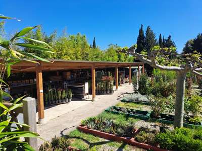 Vente Agriculture - Viticulture à Salon-de-Provence