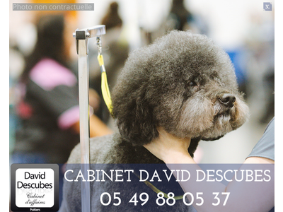 Vente Animalerie - Chasse - Pêche à Poitiers