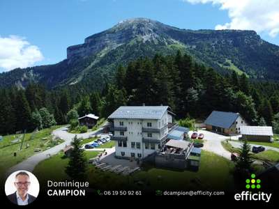 Vente ensemble touristique au Col de Porte