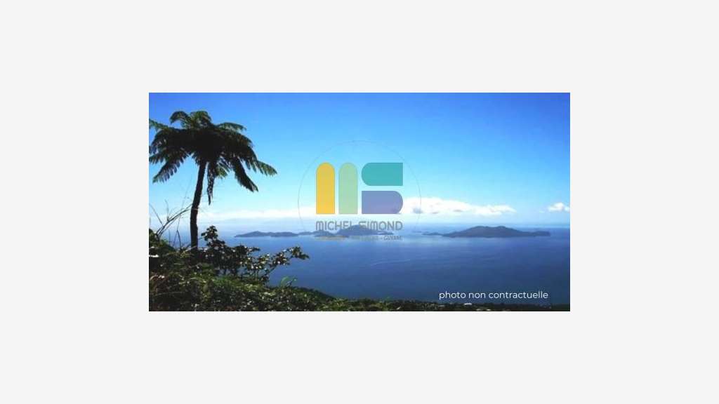 Vente restaurant snack PMU loto FDJ en Guadeloupe