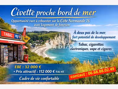 A vendre civette proche bord de mer Côte Normande