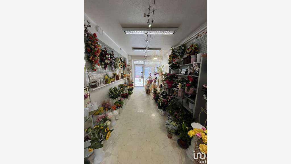 Vente boutique fleuriste à Tarascon-sur-Ariège
