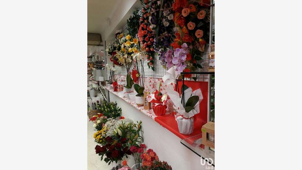 Vente boutique fleuriste à Tarascon-sur-Ariège