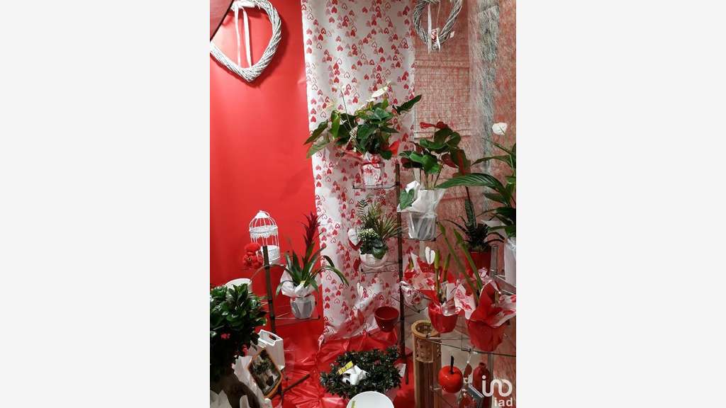 Vente boutique fleuriste à Tarascon-sur-Ariège