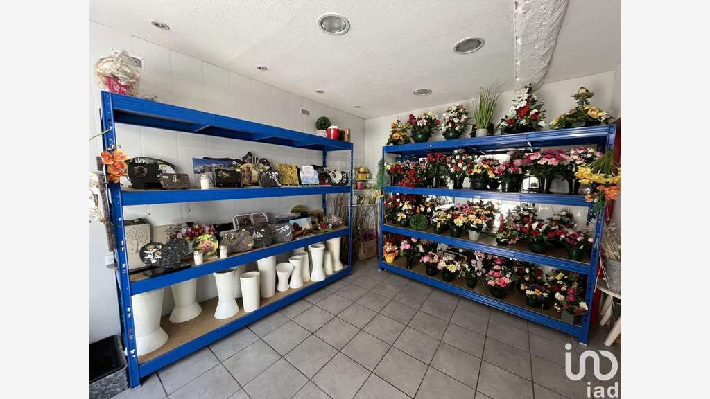Vente boutique fleuriste à Tarascon-sur-Ariège