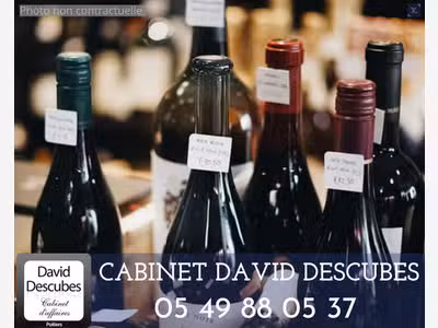 Cède cave à vins en zone artisanale Indre-et-Loire