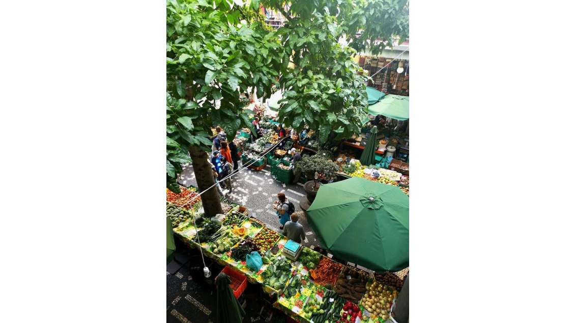 Vente emplacement de marché 10m lineaires Gironde