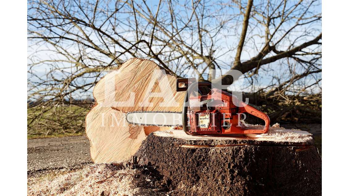 A vendre société élagage chantier technique Oise