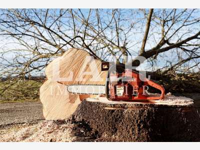 A vendre société élagage chantier technique Oise