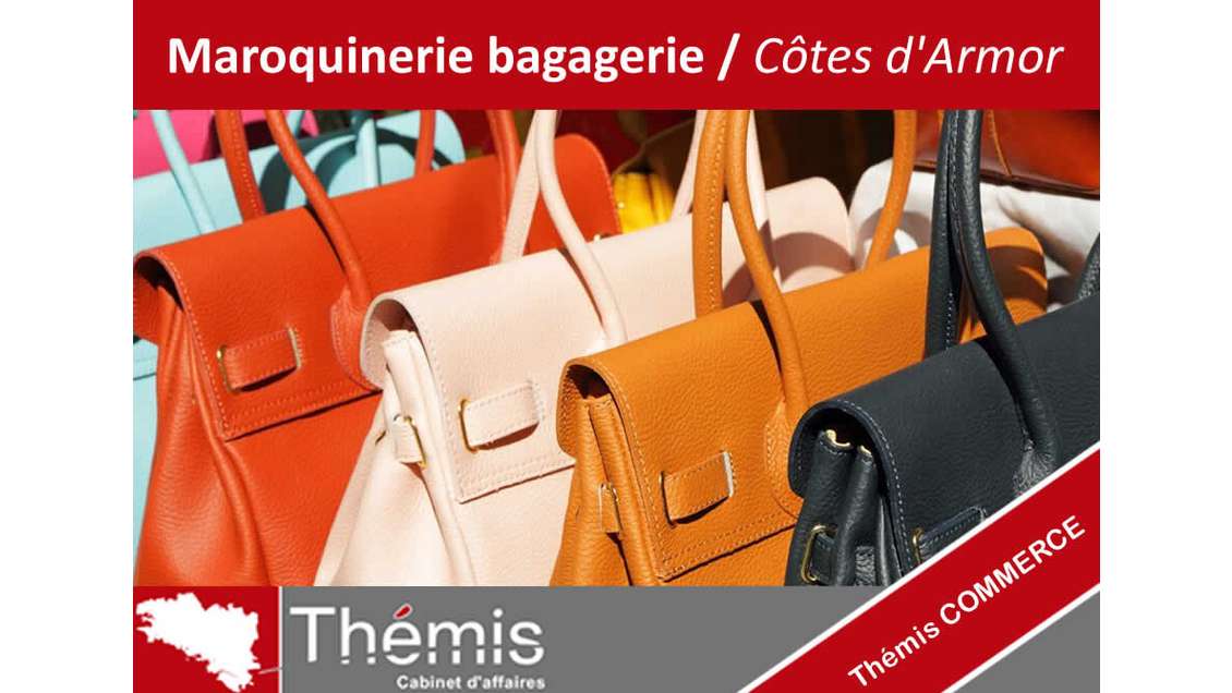 AV maroquinerie bagagerie centre commercial 22