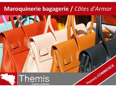 Vente Chaussure - Cuir dans les Côtes-d'Armor