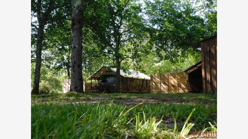 Vente gîte + quelques lodges et logement Landes