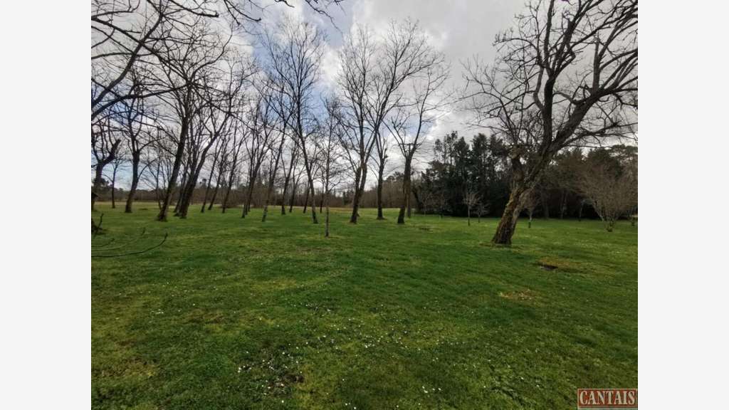 Vente grand domaine cadre naturel d'exception 33