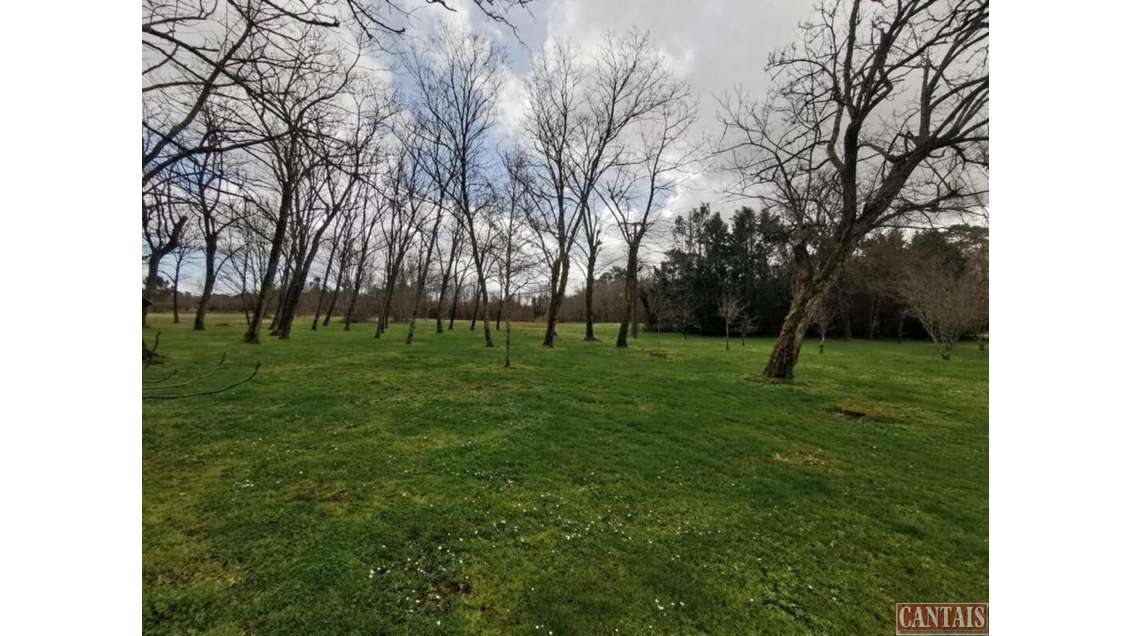 Vente grand domaine cadre naturel d'exception 33
