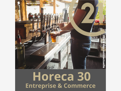 Vente grande brasserie coeur ville touristique 84