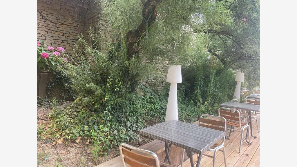 Vente FDC guinguette terrasse en bord de Saône