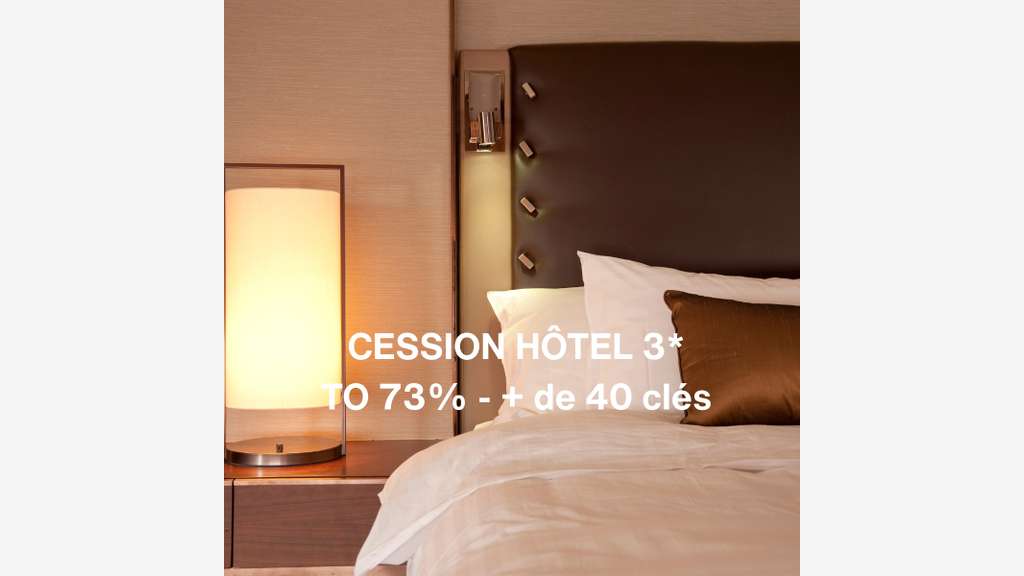 Vente hôtel 3 *** murs&fonds belle rentabilité 24