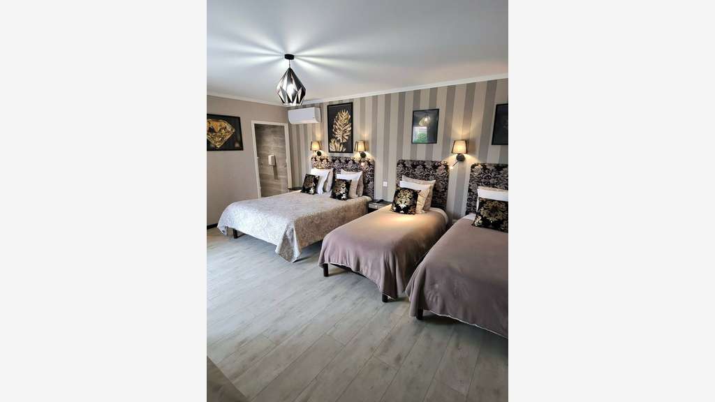⭐ hôtel-restaurant *** site exceptionnel Charente