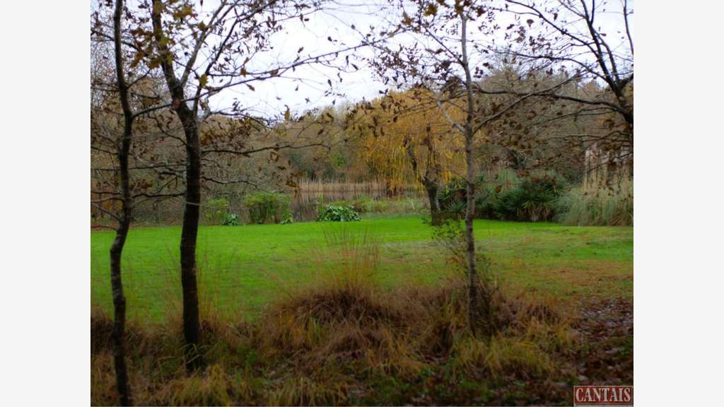 Vente chambre d'hôte avec grand terrain - Landes