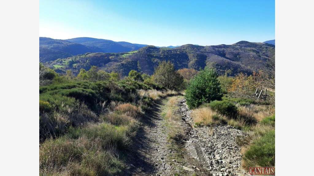 Vente gite de groupes petit village des Cévennes