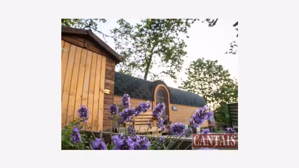Vente Gîte sur 3 ha axe Tulle Limousin