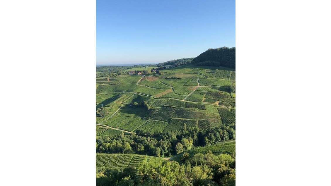 Vente chambre d'hôte de caractère dans Le Jura
