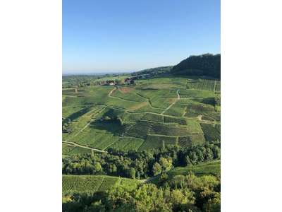 Vente Hôtel - Hôtel restaurant à Lons-le-Saunier