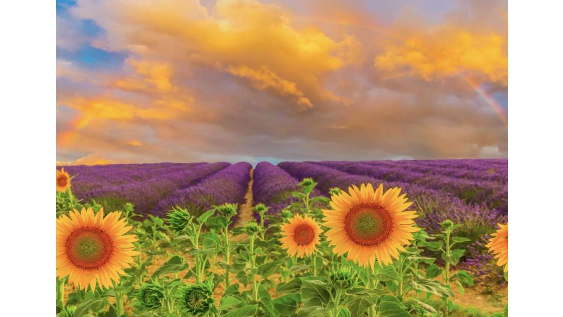 AV hôtel haut de gamme murs et fonds Luberon (84)