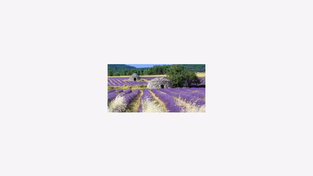 Vente hôtel de charme *** en Drôme Provençale