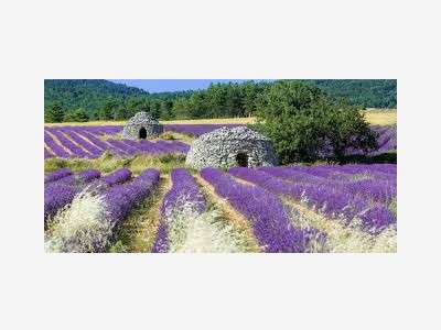 Vente hôtel de charme *** en Drôme Provençale