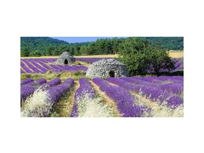 Vente Hôtel - Hôtel restaurant à Saint-Paul-Trois-Châteaux