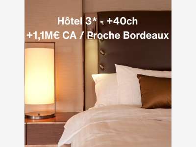 Hôtel 3* - +40 ch - 1,1M€ CA - Murs et fonds