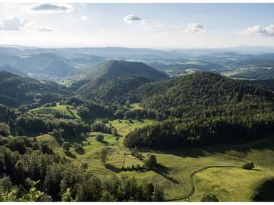 Vente Hôtel - Hôtel restaurant dans le Haut-Rhin