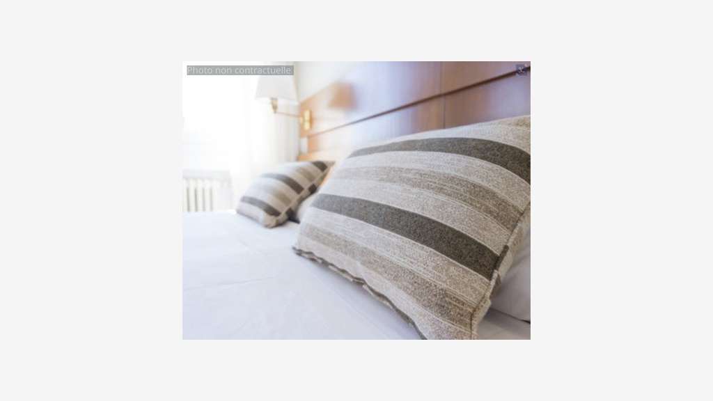 Vente hôtel cosy au coeur de la Bourgogne