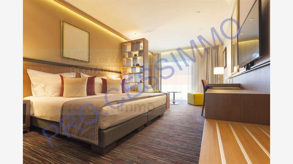 Vente hôtel de charme haut de gamme Sud de France 