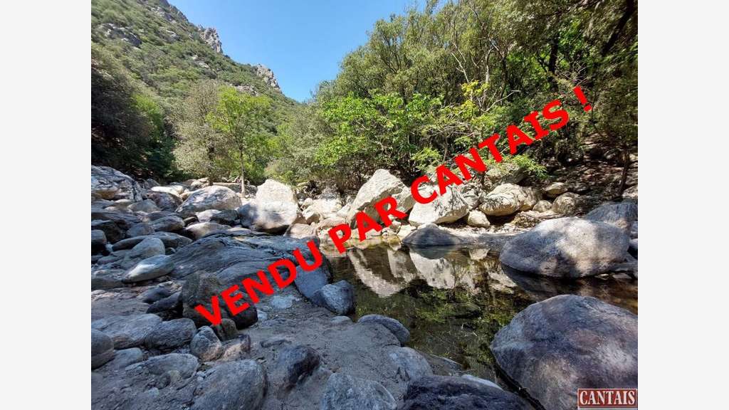 Vente gîte à 700m d'altitude Languedoc Roussillon