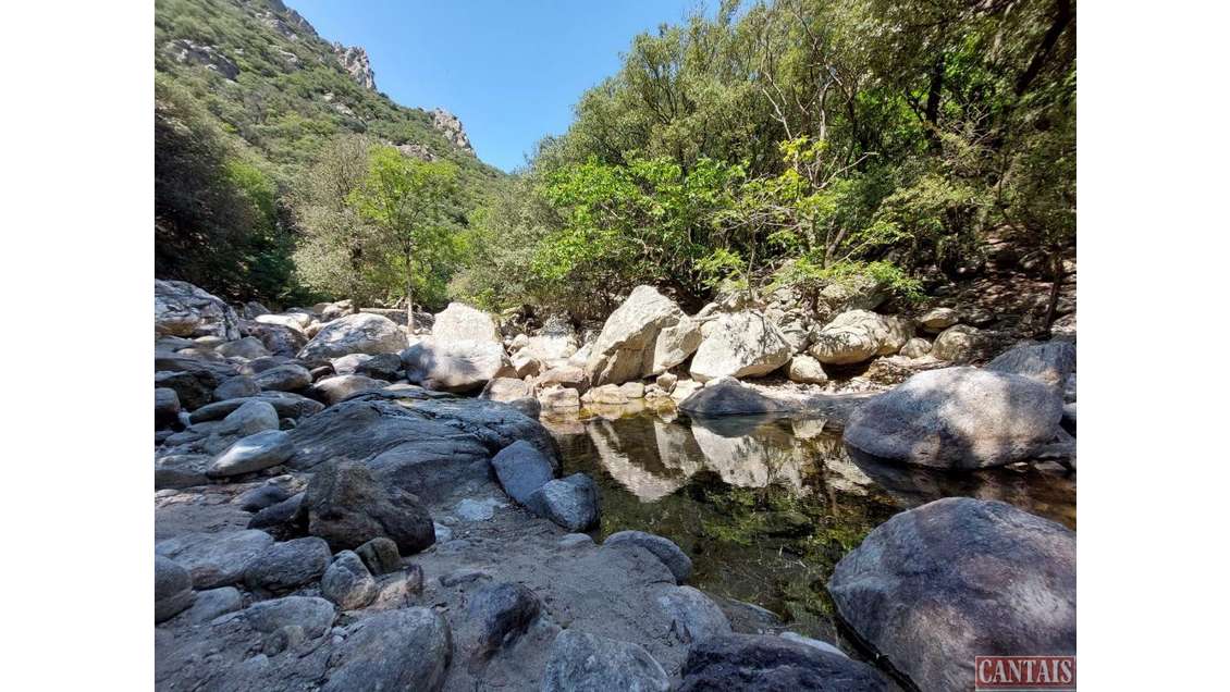 Vente gîte à 700m d'altitude Languedoc Roussillon