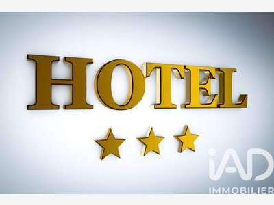 Vente hôtel 3 *** sur axe routier à Montargis