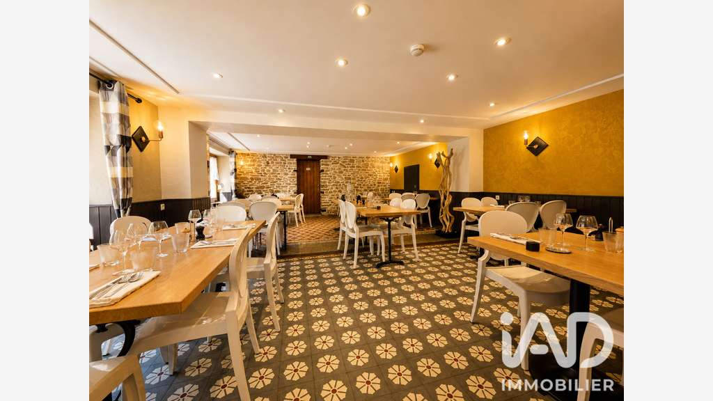 Vente hôtel restaurant *** murs + fonds à Cusance